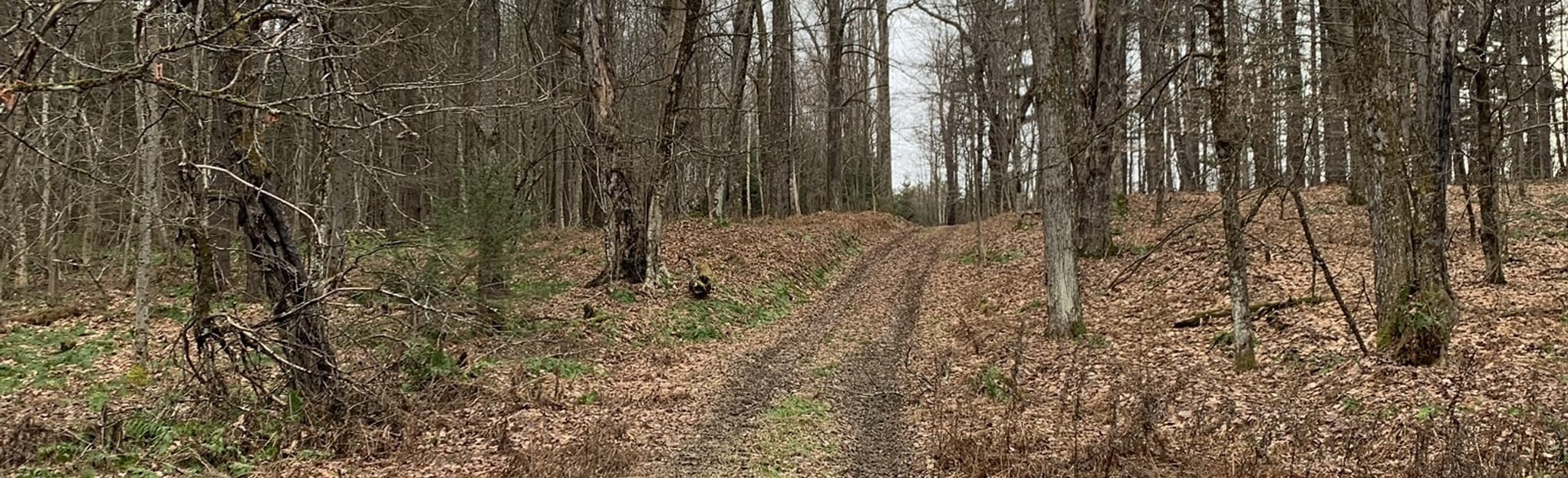 Milford Nordic Ski Trail Loop, New York 69 Reviews, Map AllTrails