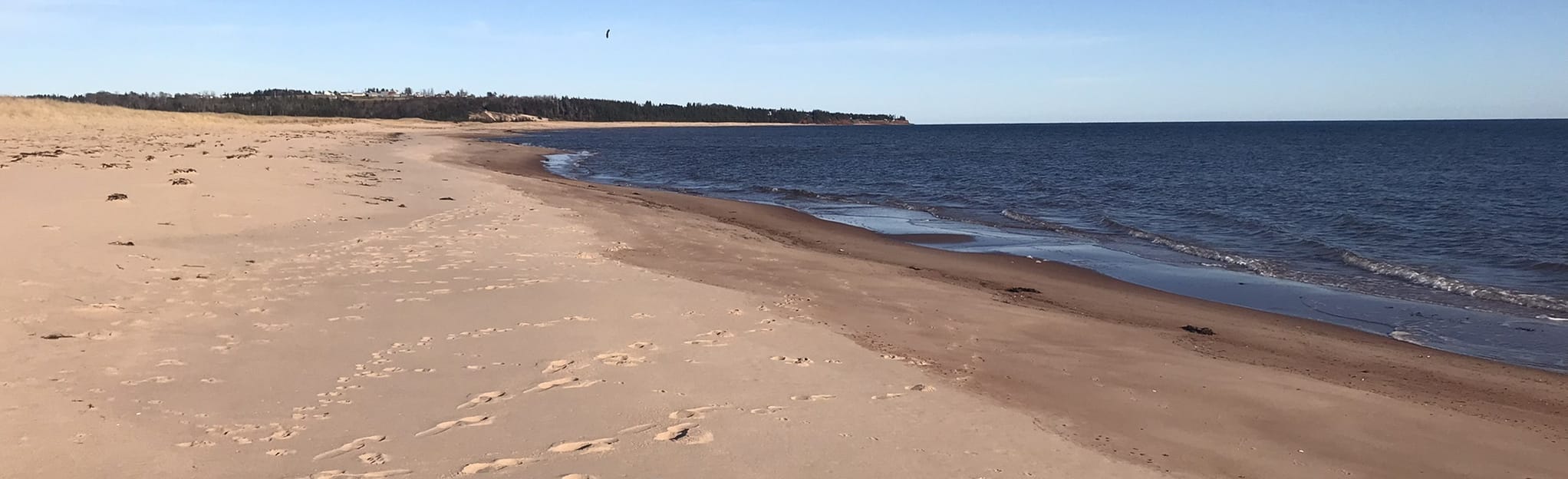 Black Pond Trail 5 Reviews, Map Prince Edward Island, Canada AllTrails