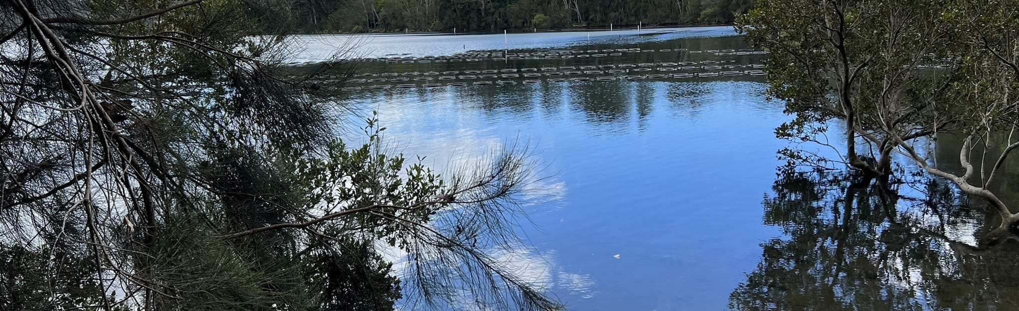 Ringlands Bay to Flying Fox Bay, New South Wales, Australia 19