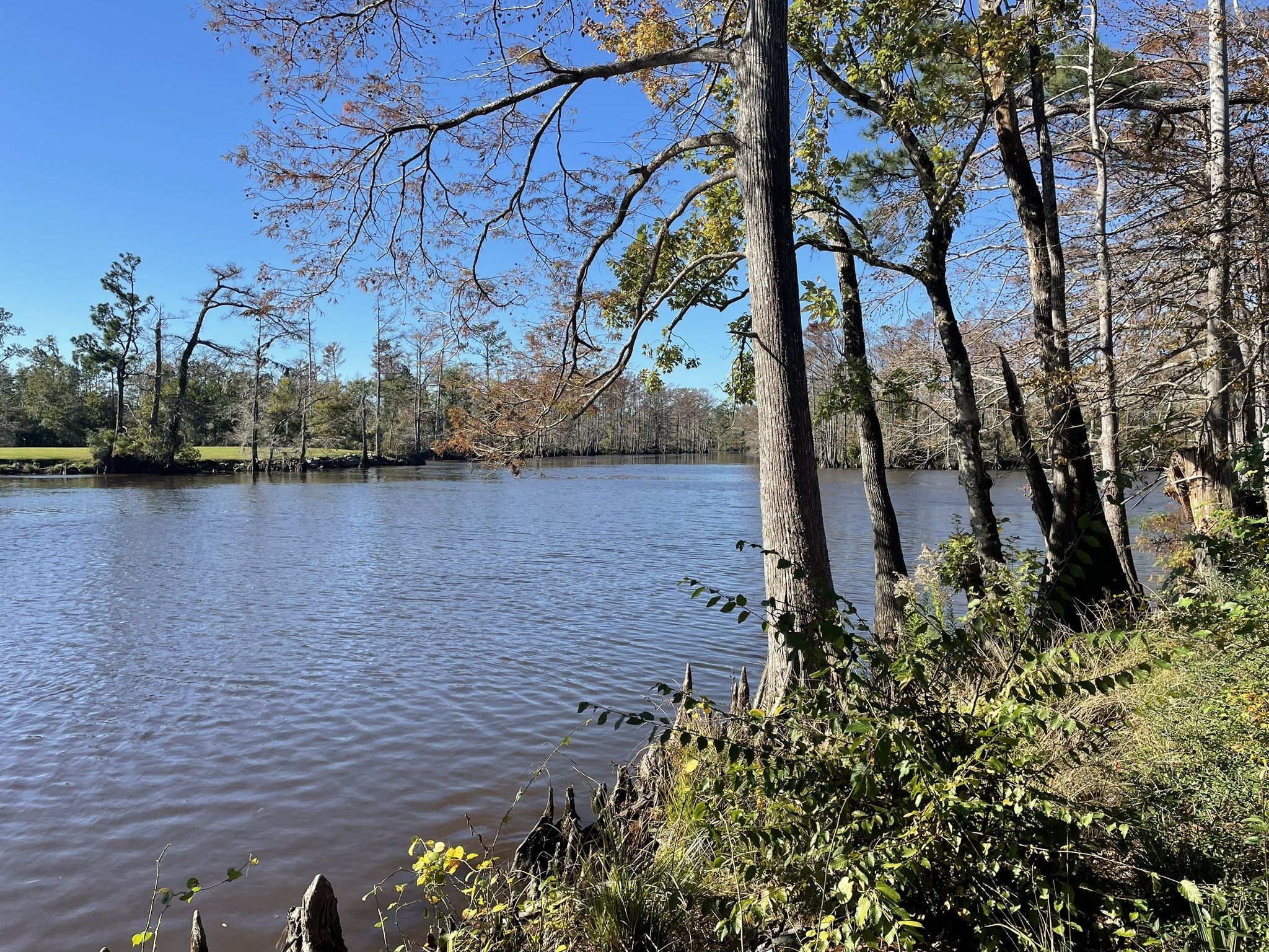 Photos of Lake Charles, Louisiana fishing trails | AllTrails