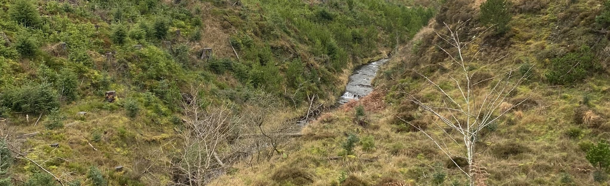 Severn-Break-its-Neck Trail: 15 Reviews, Map - Powys, Wales | AllTrails