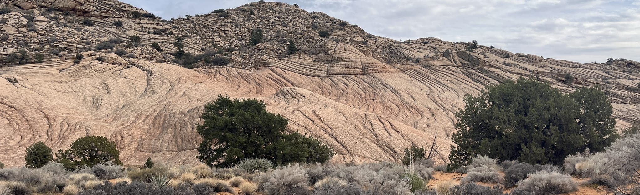 Yellow Knolls Trail, Utah 378 Reviews, Map AllTrails