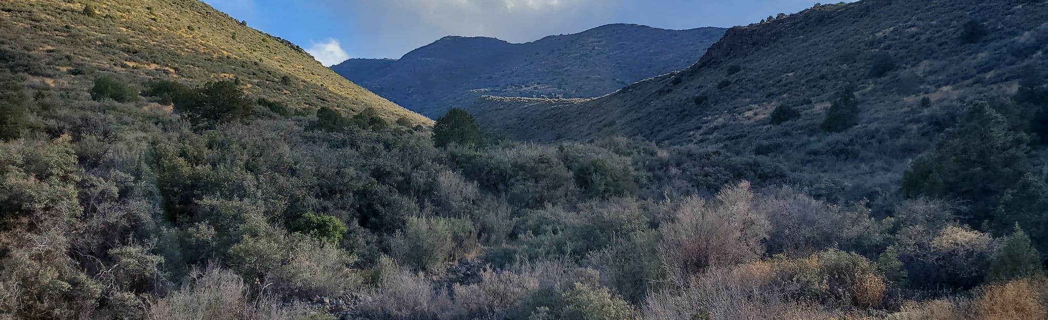 Chino Valley to Jerome OHV, Arizona 88 Reviews, Map AllTrails