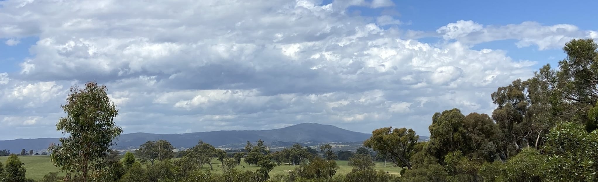 Mount Piper Loop: 100 foto’s - Victoria, Australië | AllTrails