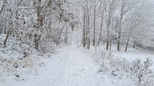 Bad Lauterberg - Stöberhai - Odertalsperre