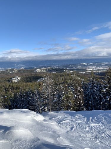 2023 Best 10 Wild Flowers Trails in Cranbrook | AllTrails