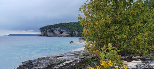 are dogs allowed in bruce peninsula national park