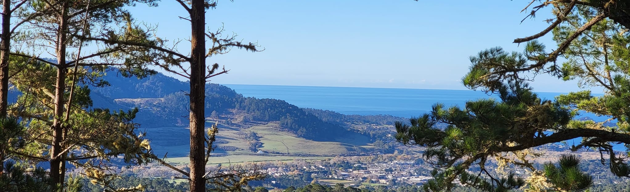 Jacks Peak to Rhus Trail Loop 400 Reviews, Map California AllTrails