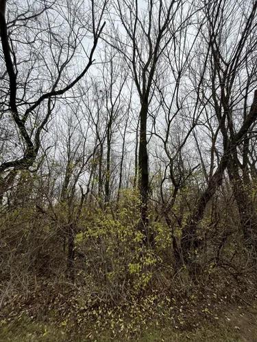 Silver Creek Township Park Parking