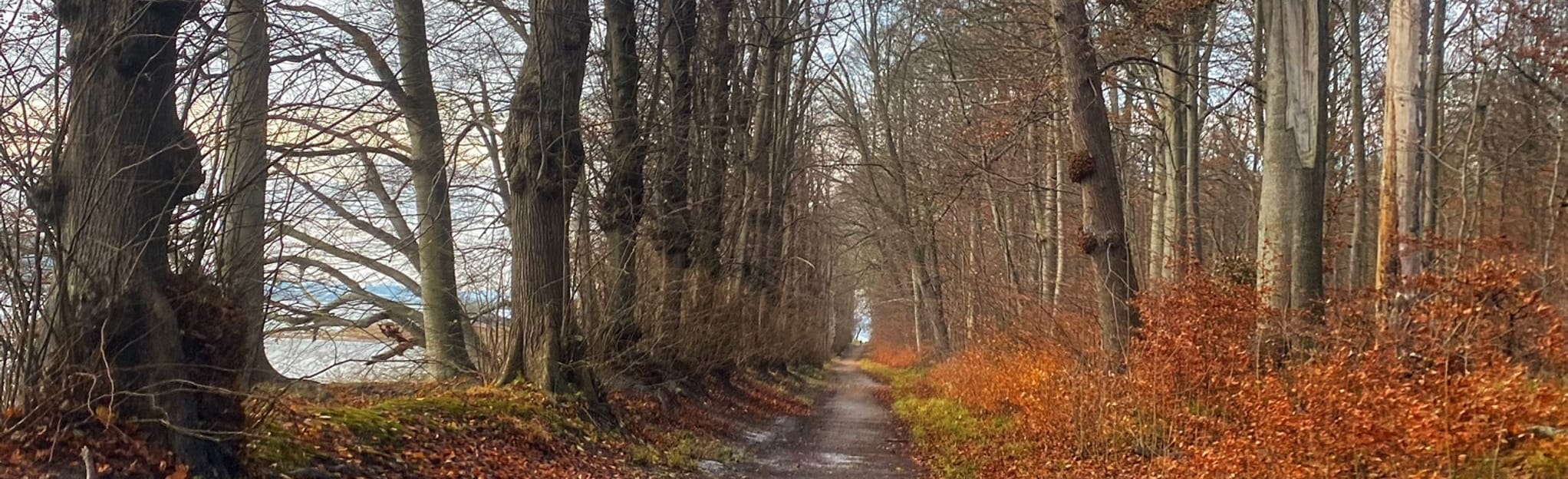 Augustenborg - Sebbelev: 22 foto - Danimarca Meridionale, Danimarca ...