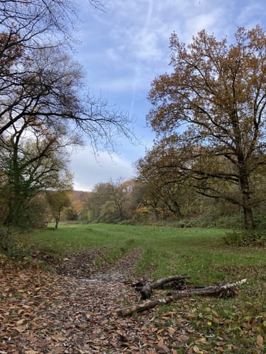 Bad Soden am Taunus Runde