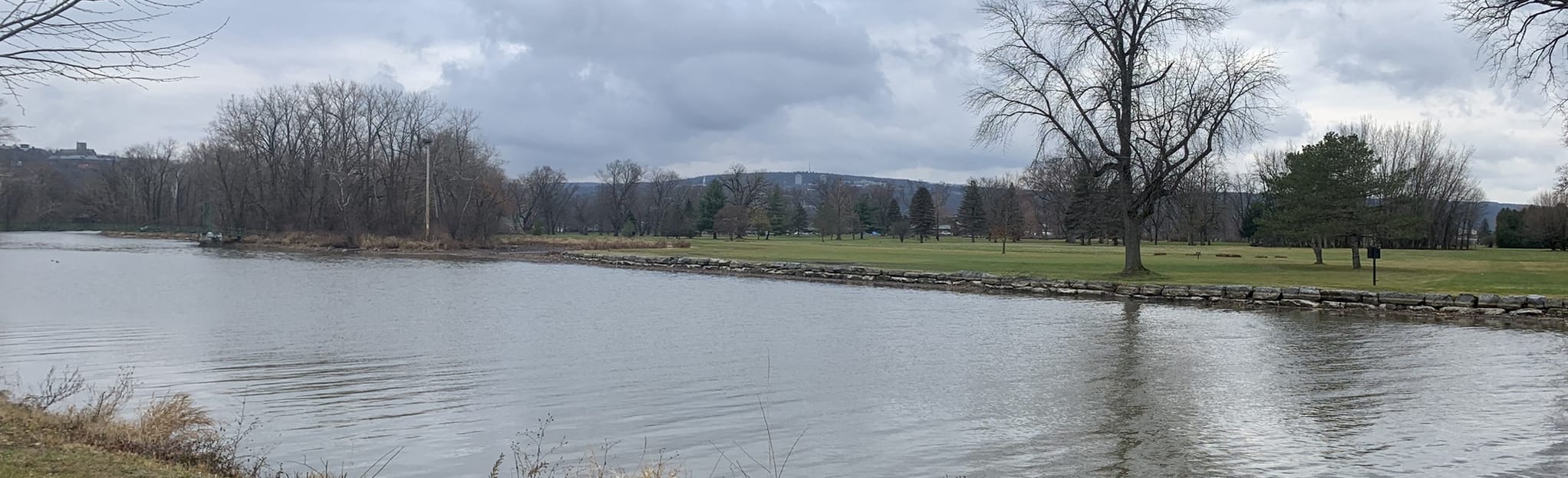 Cayuga Lake Inlet Trail: 163 foto - New York | AllTrails