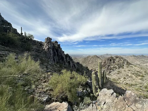 Parques para perros en el área de Phoenix