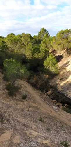 Best Hikes and Trails in Formentera del Segura AllTrails