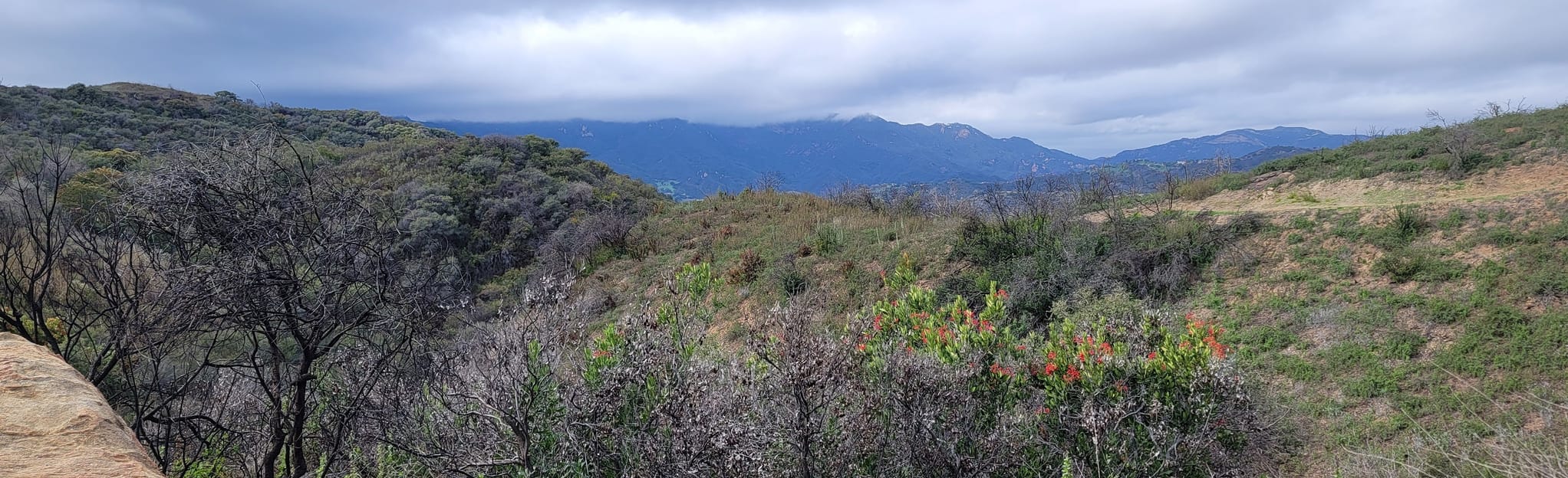 Backbone Trail from Will Rogers to Stunt Road 226 Reviews, Map