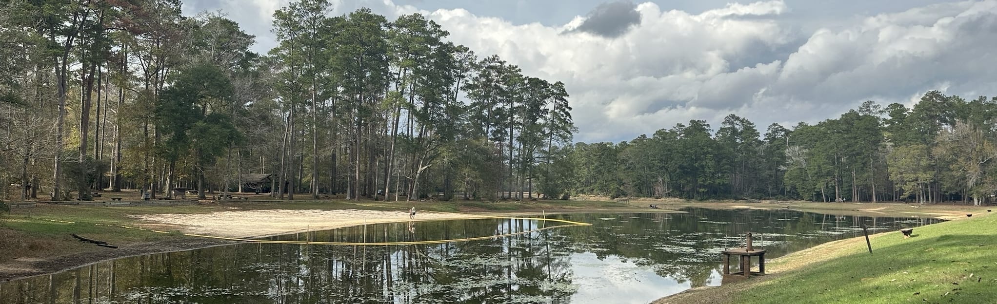 Lone Star Hiking Trail to Double Lake via FS 217, Texas 165 Reviews, Map AllTrails