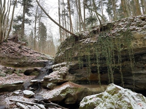 Burgthann - Schloss Grünsberg - Prackenfels - Löwengrube