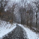 Chedoke Stairs, Ontario, Canada - 69 Reviews, Map | AllTrails