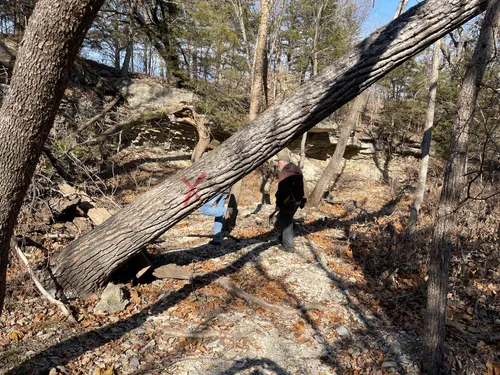 Best Hikes and Trails in Alcove Spring Park | AllTrails