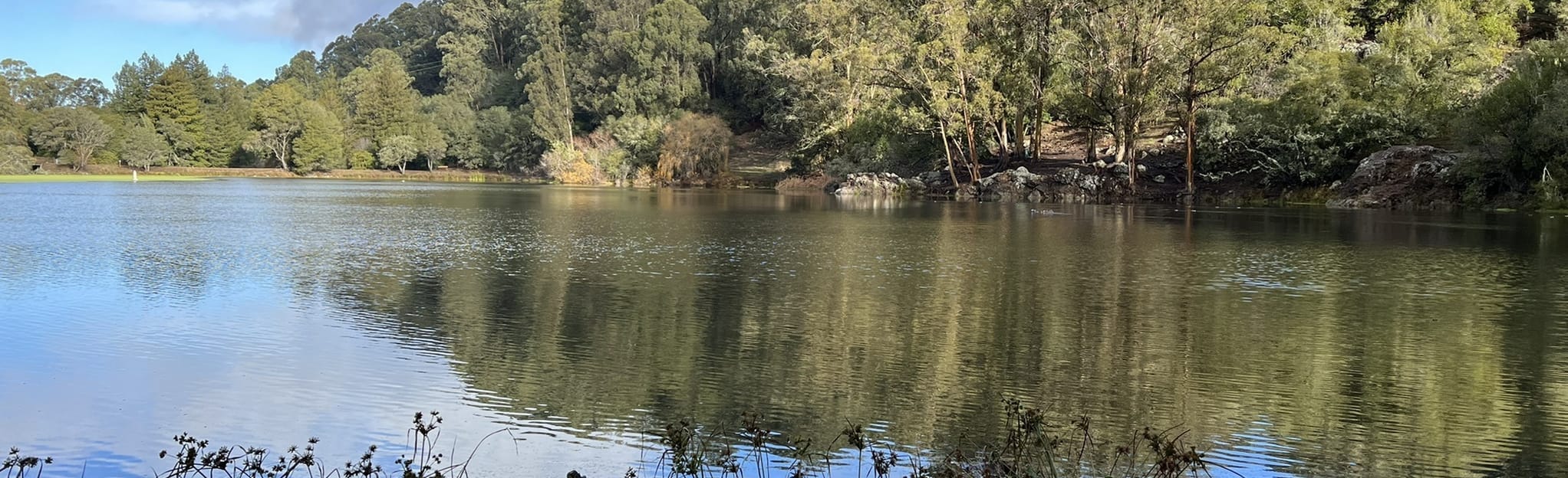 Wildcat and Lake Anza Loop 301 Reviews, Map California AllTrails