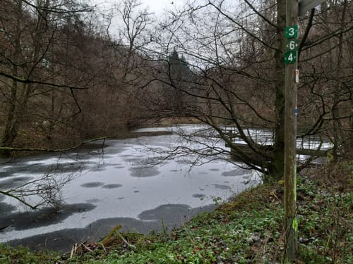 Waldschluchtenweg (Traumpfad)