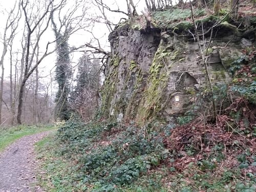 Waldschluchtenweg (Traumpfad)