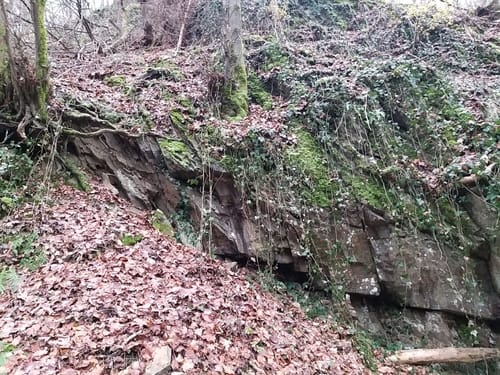 Waldschluchtenweg (Traumpfad)