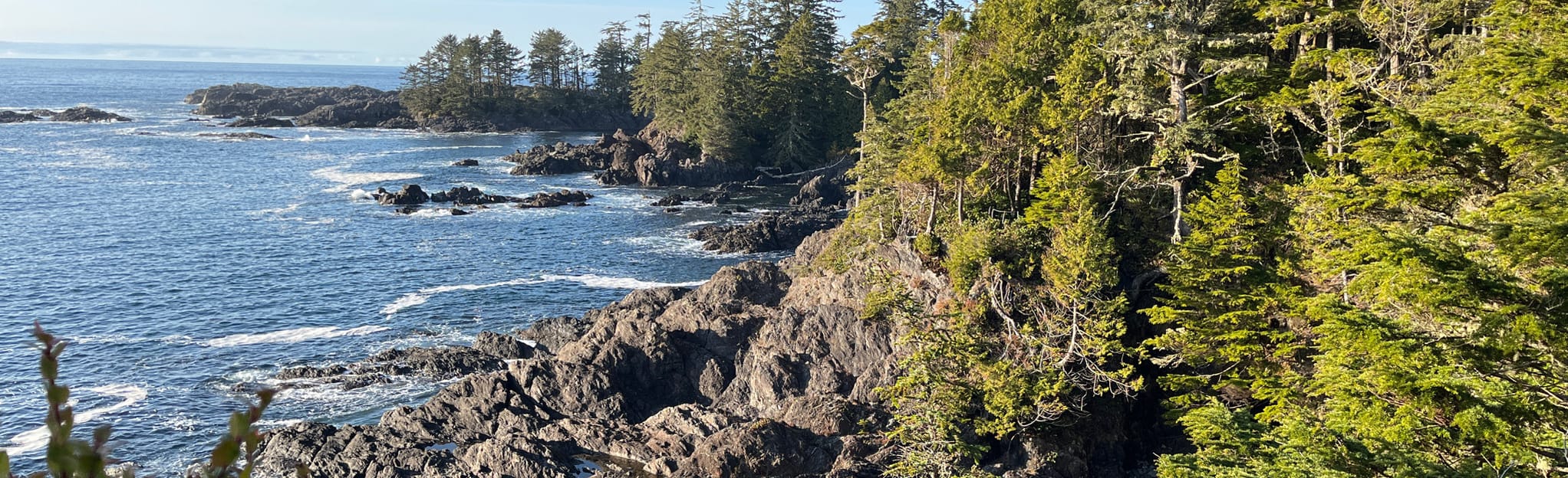 Wild Pacific Trail: Lighthouse Loop, British Columbia, Canada - 2,797 ...