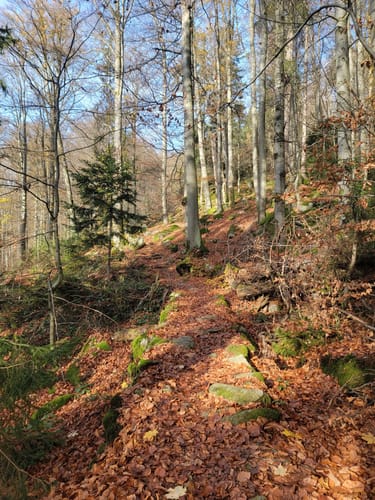 Schwarzwihrberg Rundweg