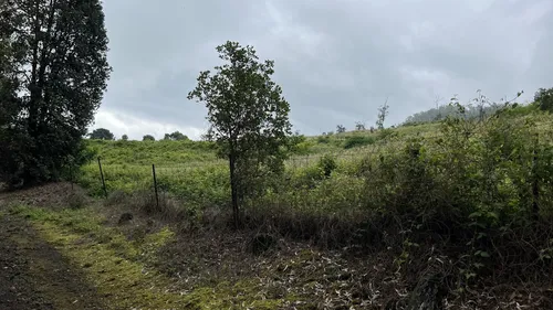 2023 Best 10 Trails and Hikes in Kailua Kona | AllTrails
