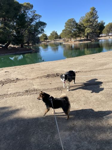 are dogs allowed at apollo park lancaster