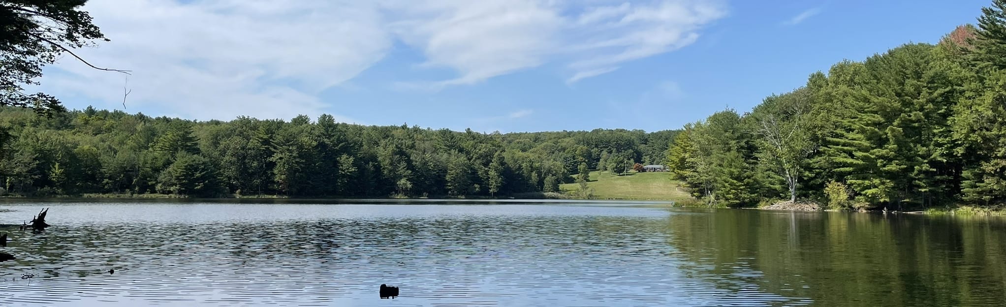 Hand Hollow Conservation Area Loop, New York 351 Reviews, Map AllTrails