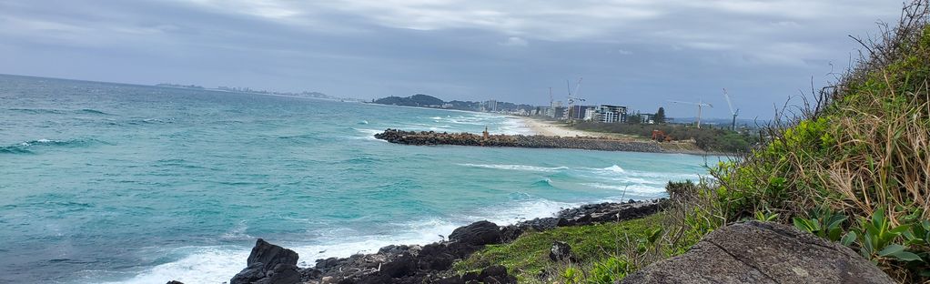 can you take dogs to burleigh beach