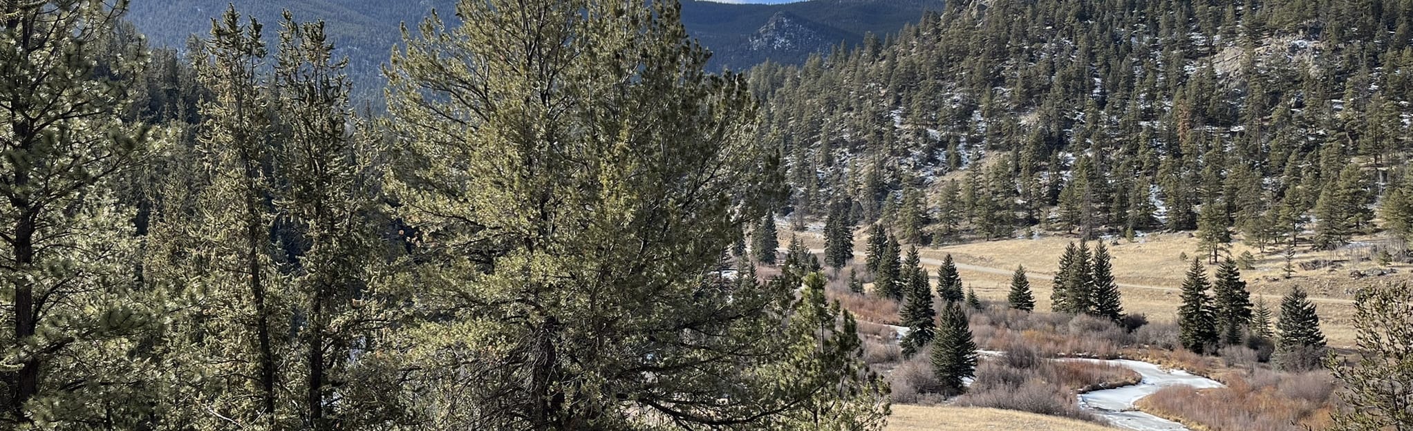 McCurdy Mountain and Bison Peak, Colorado 17 Reviews, Map AllTrails