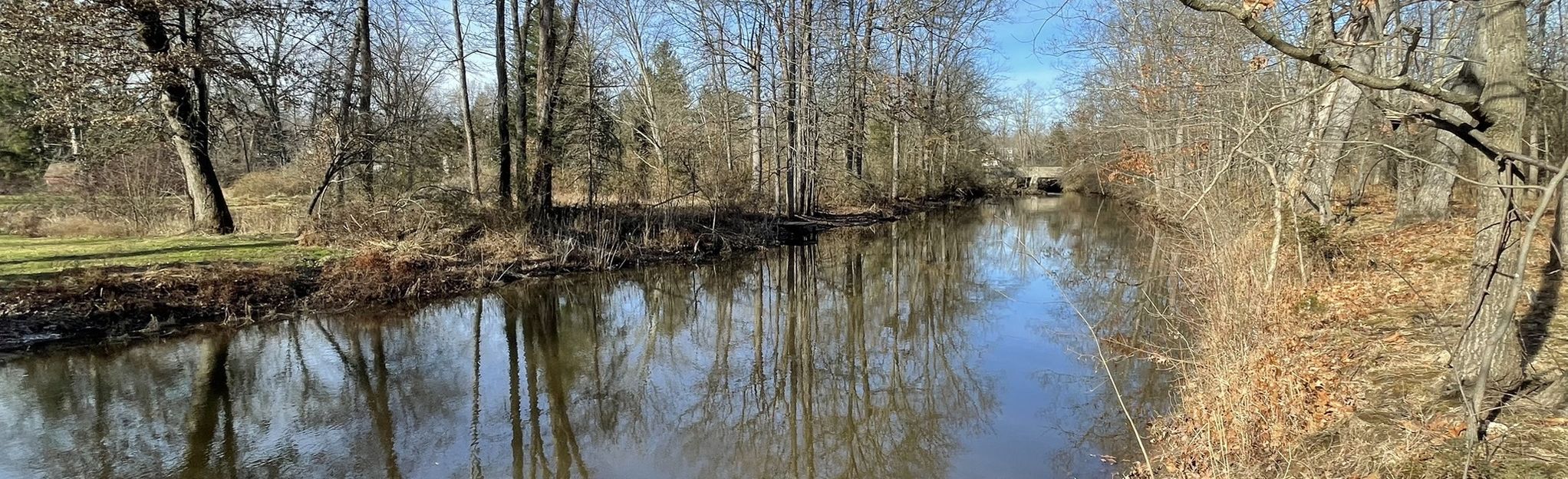 Passaic River White Trail 5 Reviews, Map New Jersey AllTrails