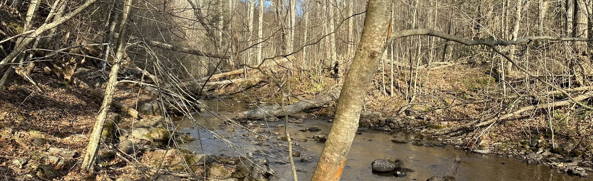 Jerry's Run Loop 53 Reviews, Map Virginia AllTrails