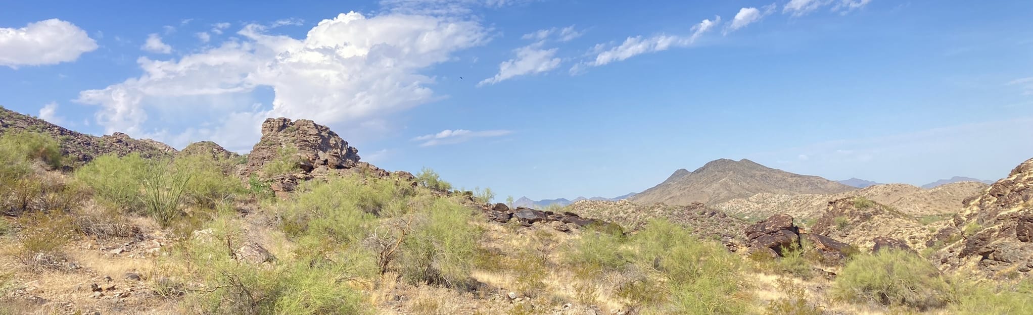 Dobbins Lookout via East Mineral Road, Arizona 917 Reviews, Map