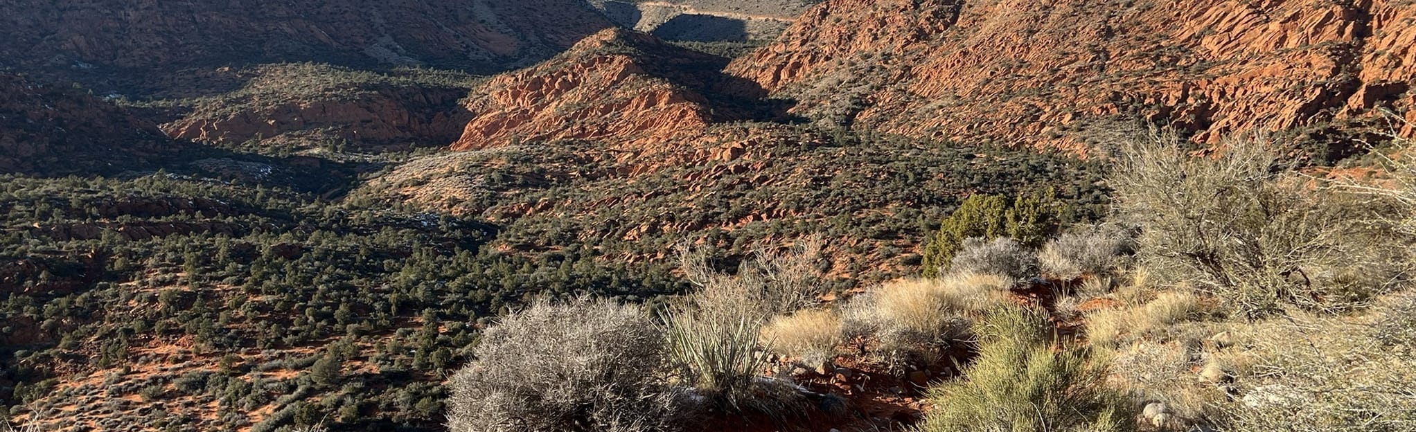 Silver Rim Trail, Utah - 290 Reviews, Map | AllTrails
