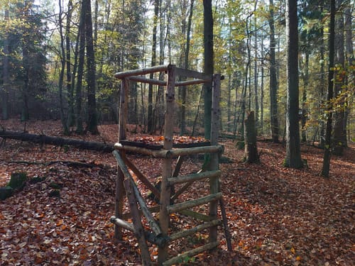 Von Helferskirchen nach Vielbach