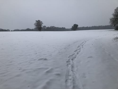 Eichelberger Häng (Wb01)