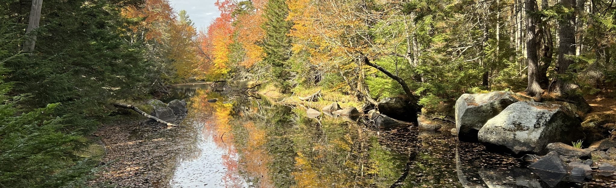 Ducktrap River Loop 122 Reviews, Map Maine AllTrails