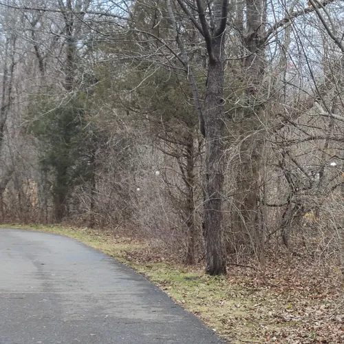 2023 Best Lake Trails in Linden AllTrails