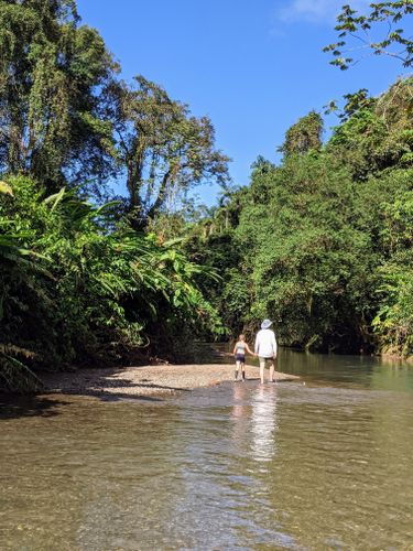 Drake Bay - Agujas River: 5 fotos - Puntarenas, Costa Rica