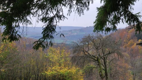 Um die Weiherkuppe über die Enzianhütte