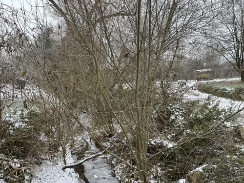 Hiwweltour Bismarckturm