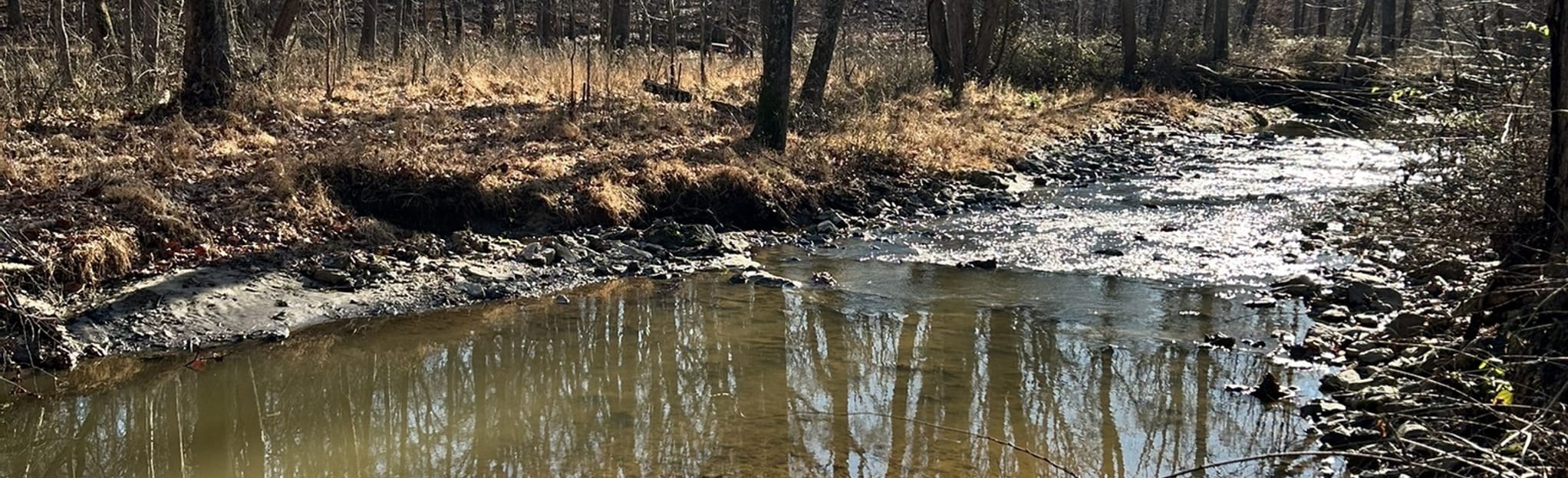 Cabin John Trail Goya Drive to River Road, Maryland 160 Reviews, Map AllTrails