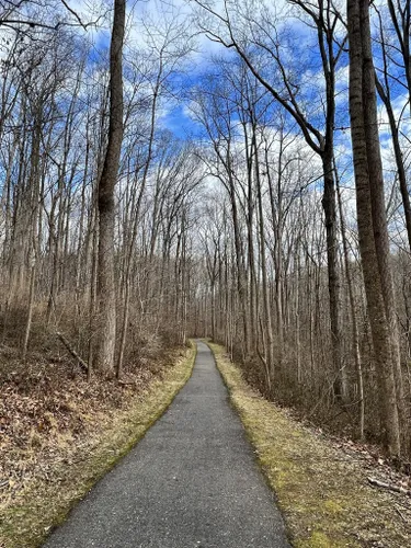 Hiking Near Columbia MD: 5 Best Trails in Columbia