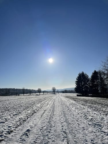 Rundweg über Herges - Hallenberg zum Dicken Berg