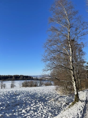 Rundweg über Herges - Hallenberg zum Dicken Berg