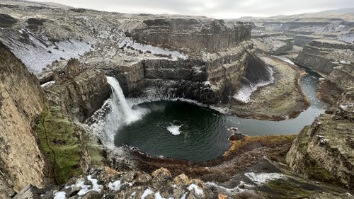 are dogs allowed at palouse falls state park